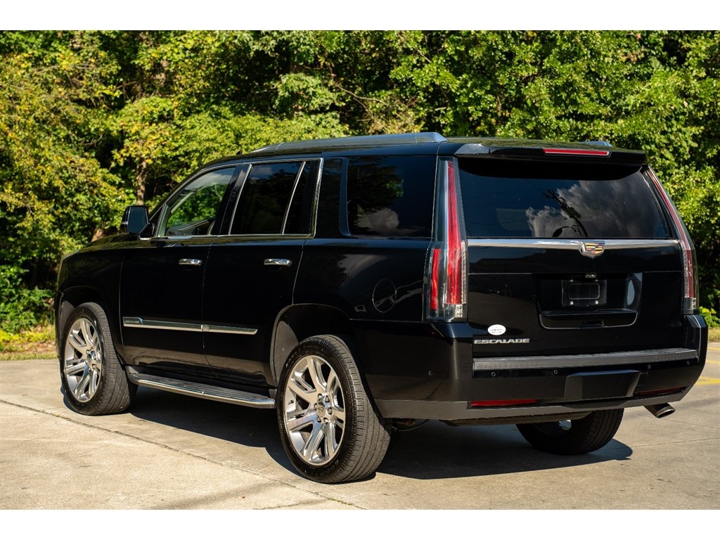 2017 Cadillac Escalade Luxury photo 10