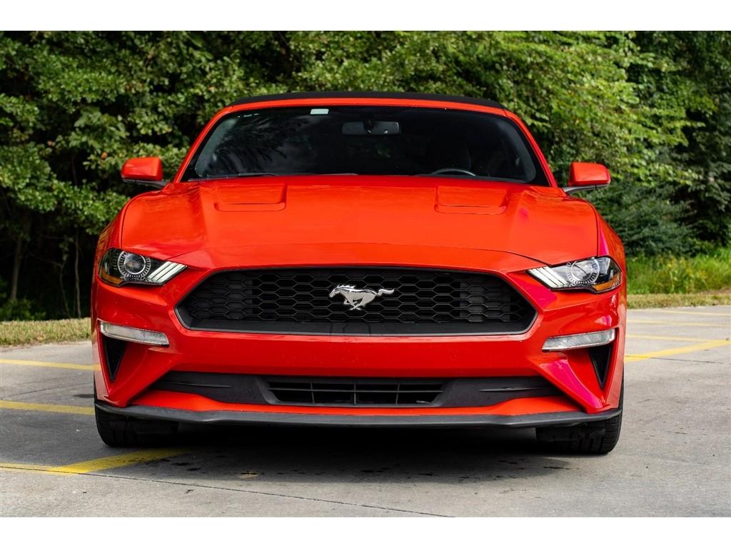 2018 Ford Mustang EcoBoost Convertible photo 3