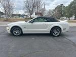 2006 Ford Mustang Pic 2686_V202511221320265