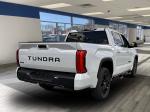 2024 Toyota Tundra 4Wd Pic 2695_V2024082203155300065