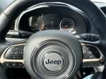 2017 Jeep Renegade Pic 2695_V20240919031502000017