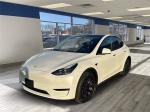 2024 Tesla Model Y Pic 2695_V202410100315030000