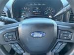 2019 Ford F-150 Pic 2695_V20241026031517000723