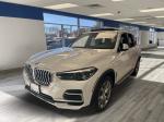 2023 Bmw X5 Pic 2695_V202411130315090001