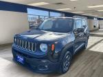 2015 Jeep Renegade Pic 2695_V202411210317440000