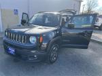 2015 Jeep Renegade Pic 2695_V20241121031744000010