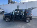 2015 Jeep Renegade Pic 2695_V20241121031744000011