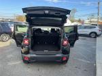 2015 Jeep Renegade Pic 2695_V20241121031744000013