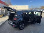 2015 Jeep Renegade Pic 2695_V20241121031744000014