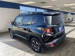 2015 Jeep Renegade Pic 2695_V2024112103174400004