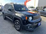 2015 Jeep Renegade Pic 2695_V2024112103174400008