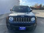 2015 Jeep Renegade Pic 2695_V2024112103174400009