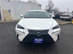 2019 Lexus Nx Pic 2695_V2024121103151100009