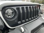 2021 Jeep Wrangler Pic 2695_V20250112031510000147