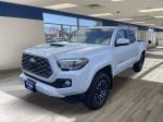 2022 Toyota Tacoma 4Wd Pic 2695_V202501140315220002