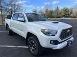 2022 Toyota Tacoma 4Wd Pic 2695_V2025011403152200028