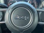 2021 Jeep Wrangler Pic 2695_V20250116031501000038