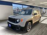 2016 Jeep Renegade Pic 2695_V202503060315020000