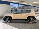 2016 Jeep Renegade Pic 2695_V2025030603150200002