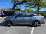 2023 Nissan Maxima Pic 2695_V2025050903153700032