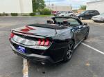 2024 Ford Mustang Pic 2695_V20250516031501000014