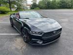 2024 Ford Mustang Pic 2695_V20250516031501000016