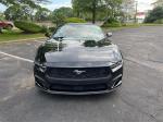 2024 Ford Mustang Pic 2695_V20250516031501000017