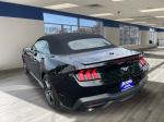 2024 Ford Mustang Pic 2695_V2025051603150100004