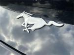 2024 Ford Mustang Pic 2695_V20250516031501000048
