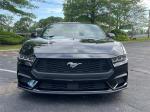 2024 Ford Mustang Pic 2695_V20250516031501000049