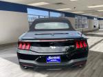 2024 Ford Mustang Pic 2695_V2025051603150100005