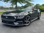 2024 Ford Mustang Pic 2695_V20250516031501000052