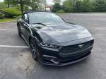 2024 Ford Mustang Pic 2695_V2025051603150100008