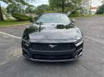 2024 Ford Mustang Pic 2695_V2025062315275900089