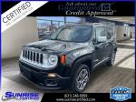 2016 Jeep Renegade Pic 2695_V202506231538190051