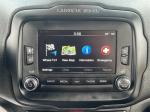 2016 Jeep Renegade Pic 2695_V20250623153819005124