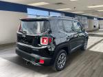 2016 Jeep Renegade Pic 2695_V2025062315381900516