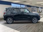 2016 Jeep Renegade Pic 2695_V2025062315381900517