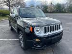 2016 Jeep Renegade Pic 2695_V2025062315381900518
