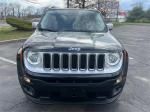 2016 Jeep Renegade Pic 2695_V2025062315381900519