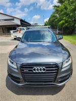 2017 Audi Sq5 Pic 2720_V202507021512582