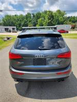 2017 Audi Sq5 Pic 2720_V202507021512584