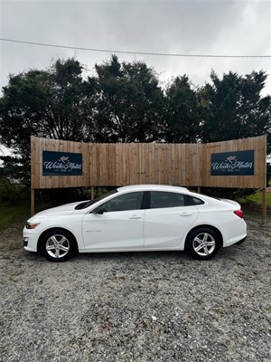 2020 CHEVROLET MALIBU 1FL for sale by dealer