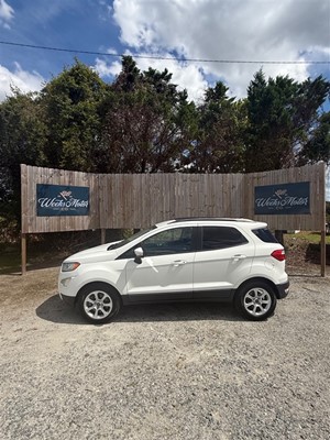 2018 Ford EcoSport SE for sale by dealer