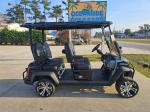 2025 Venom Stealth 4 Passenger Lsv Pic 2737_V202504190957182