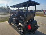 2025 Venom Stealth 4 Passenger Lsv Pic 2737_V202504190957185