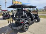 2025 Venom Strike 6 Passenger Lifted Lsv Pic 2737_V202505161407213