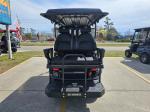 2025 Venom Strike 6 Passenger Lifted Lsv Pic 2737_V202505161407214
