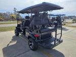 2025 Venom Strike 6 Passenger Lifted Lsv Pic 2737_V202505161407215