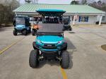 2025 Venom Strike 6 Passenger Lifted Lsv Pic 2737_V202505161434367